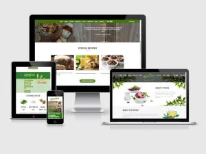 Steviva Food restaurant