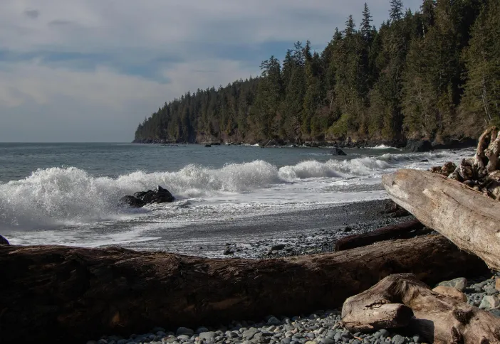 Olympic Peninsula web designer