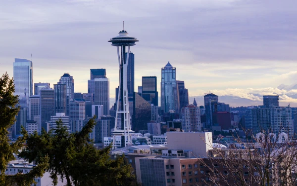 wordpress development seattle