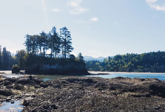 Olympic peninsula web development