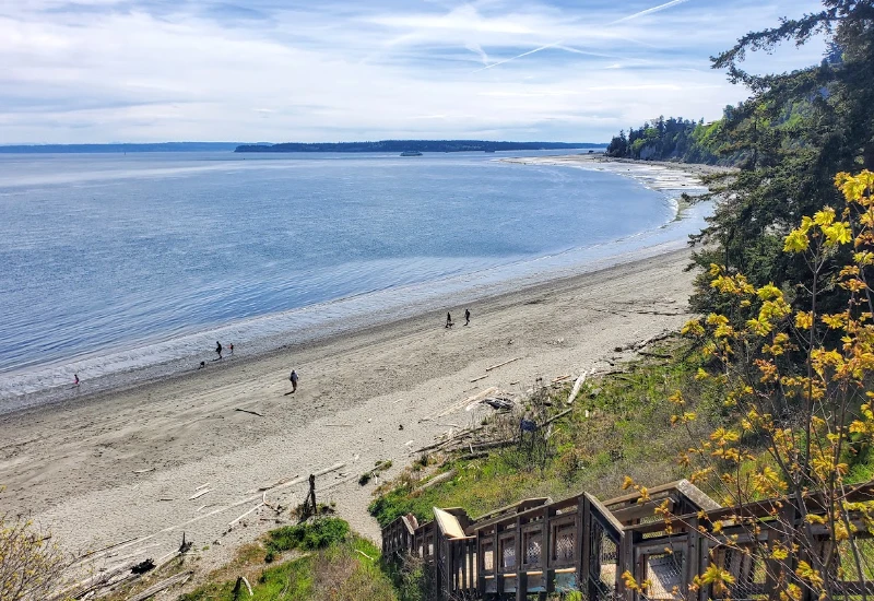 Port Townsend web design services